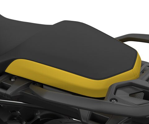 Nous voyons ici la selle jaune et noire.