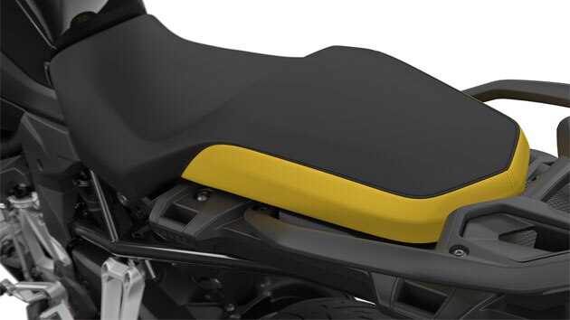 Nous voyons ici la selle jaune et noire.