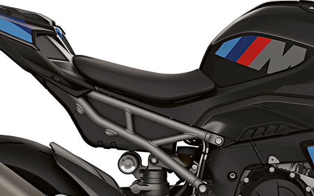 Cadre arrière et bras oscillant de la BMW M 1000 R