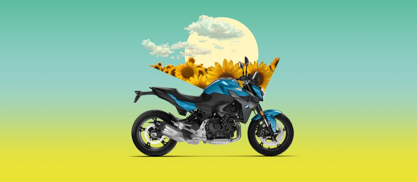 BMW F 900 R